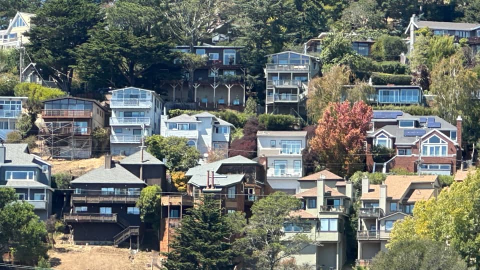 Houses stepping up a wooded Marin hillside above the road, dense trees between them.