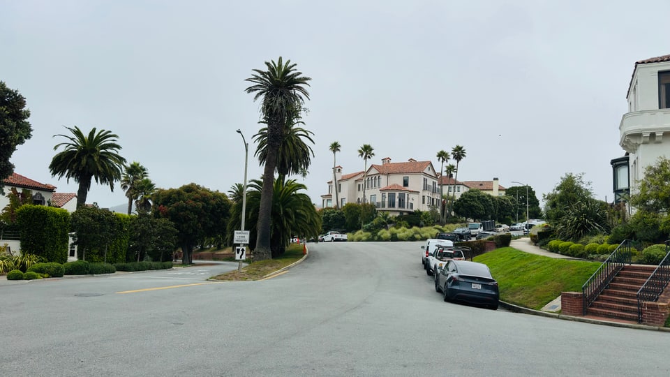White Mediterranean-style houses with palms along a curved Sea Cliff street under overcast sky.
