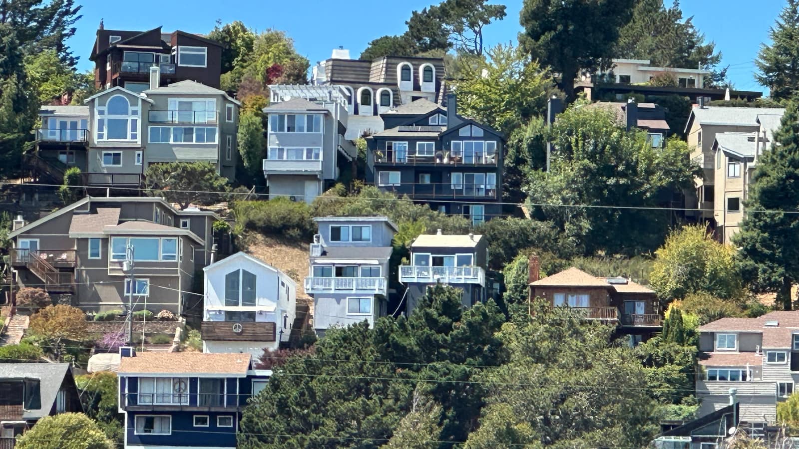 Houses stepping up a wooded Marin hillside above the road, dense trees between them.