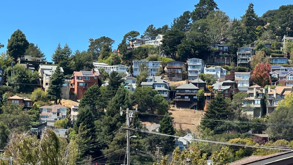 Houses stepping up a wooded Marin hillside above the road, dense trees between them.
