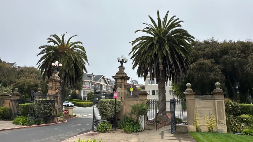 The gated stone entrance to Presidio Terrace, mature palms either side and a quiet street beyond.